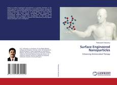 Copertina di Surface Engineered Nanoparticles