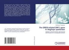 Copertina di The DREB-related DRF1 gene in Aegilops speltoides