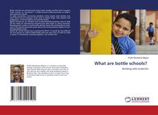 Copertina di What are bottle schools?