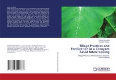 Copertina di Tillage Practices and Fertilization in a Cocoyam Based Intercropping