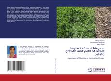 Copertina di Impact of mulching on growth and yield of sweet potato