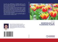 Copertina di MORPHOLOGY OF FLOWERING PLANTS