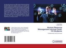 Copertina di Human Resource Management during Covid-19 Pandemic