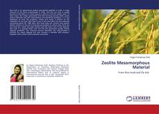 Copertina di Zeolite Mesomorphous Material
