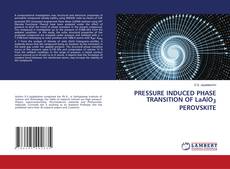 Copertina di PRESSURE INDUCED PHASE TRANSITION OF LaAlO3 PEROVSKITE