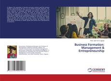 Copertina di Business Formation: Management & Entrepreneurship