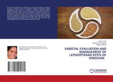 Copertina di VARIETAL EVALUATION AND MANAGEMENT OF LEPIDOPTERAN PESTS OF SORGHUM