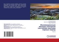 Copertina di Инновационные методы контроля состояния массива горных пород