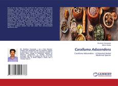 Copertina di Caralluma Adscendens