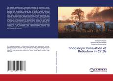 Copertina di Endoscopic Evaluation of Reticulum in Cattle