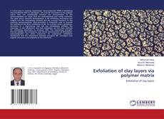 Copertina di Exfoliation of clay layers via polymer matrix