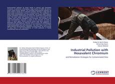 Copertina di Industrial Pollution with Hexavalent Chromium