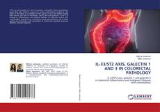 Copertina di IL-33/ST2 AXIS, GALECTIN 1 AND 3 IN COLORECTAL PATHOLOGY