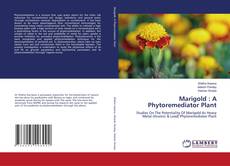 Marigold : A Phytoremediator Plant kitap kapağı