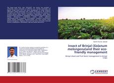 Buchcover von Insect of Brinjal (Solanum melongena)and their eco-friendly management