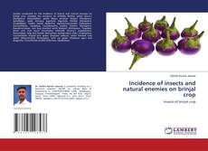 Buchcover von Incidence of insects and natural enemies on brinjal crop