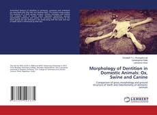 Copertina di Morphology of Dentition in Domestic Animals: Ox, Swine and Canine