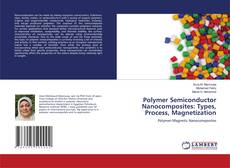 Couverture de Polymer Semiconductor Nanocomposites: Types, Process, Magnetization