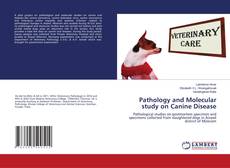 Copertina di Pathology and Molecular study on Canine Disease