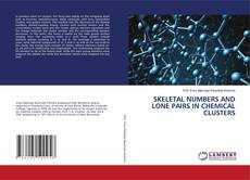 Buchcover von SKELETAL NUMBERS AND LONE PAIRS IN CHEMICAL CLUSTERS