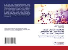 Buchcover von Single Crystal Structure Composed of Cyclobutane and Thiazole Compound