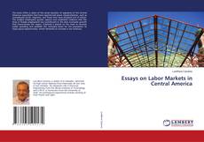 Buchcover von Essays on Labor Markets in Central America
