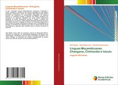 Copertina di Línguas Moçambicanas: Changana, Cimhandla e Isizulu