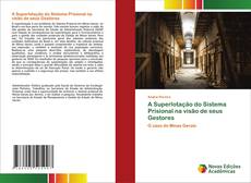 Bookcover of A Superlotação do Sistema Prisional na visão de seus Gestores