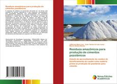 Couverture de Resíduos amazônicos para produção de cimentos pozolânicos