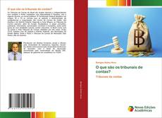 Bookcover of O que são os tribunais de contas?
