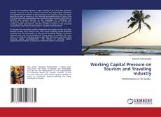 Copertina di Working Capital Pressure on Tourism and Traveling Industry