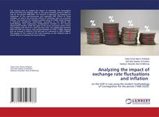 Buchcover von Analyzing the impact of exchange rate fluctuations and inflation
