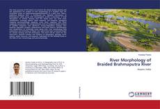Buchcover von River Morphology of Braided Brahmaputra River