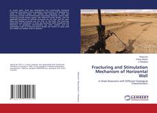 Buchcover von Fracturing and Stimulation Mechanism of Horizontal Well