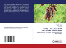 Buchcover von EFFECT OF DIFFERENT RHIZOBIUM SPECIES ON