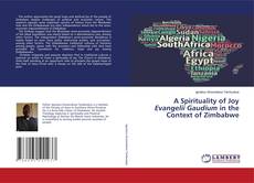 Buchcover von A Spirituality of Joy Evangelii Gaudium in the Context of Zimbabwe