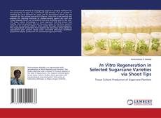 Buchcover von In Vitro Regeneration in Selected Sugarcane Varieties via Shoot Tips