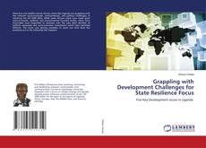 Buchcover von Grappling with Development Challenges for State Resilience Focus
