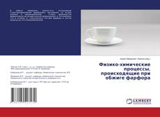 Buchcover von Физико-химические процессы, происходящие при обжиге фарфора