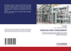 Copertina di PROCESS PIPES ASSESSMENT