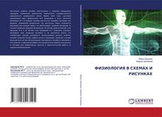 Copertina di ФИЗИОЛОГИЯ В СХЕМАХ И РИСУНКАХ