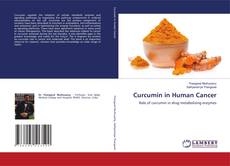 Copertina di Curcumin in Human Cancer