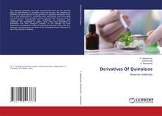 Buchcover von Derivatives Of Quinolone