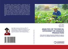 Capa do livro de ANALYSIS OF TECHNICAL EFFICIENCY IN CASSAVA PRODUCTION 
