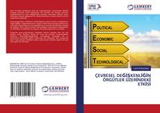 Buchcover von ÇEVRESEL DEĞİŞKENLİĞİN ÖRGÜTLER ÜZERİNDEKİ ETKİSİ