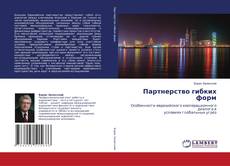 Buchcover von Партнерство гибких форм