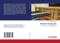 Buchcover von Industrial Geography