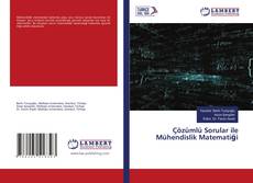 Copertina di Çözümlü Sorular ile Mühendislik Matematiği