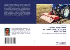 Copertina di RURAL NON-FARM ACTIVITIES AND POVERTY ALLEVIATION