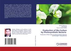 Buchcover von Production of Bio-Carbon by Photosynthetic Bacteria